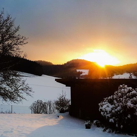 Ferienwohnung Eichkatzel Zell エクステリア 写真