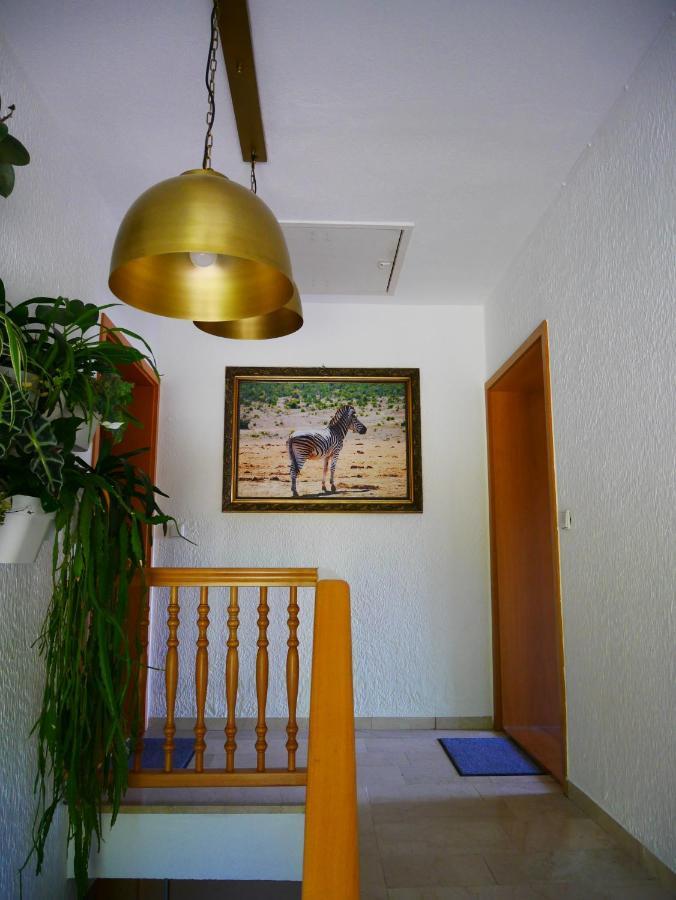 Ferienwohnung Eichkatzel Zell エクステリア 写真