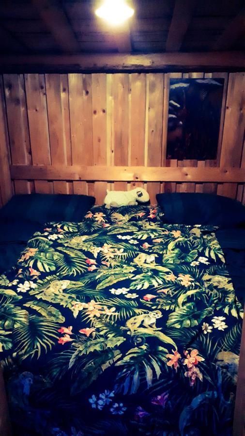 Ferienwohnung Eichkatzel Zell エクステリア 写真
