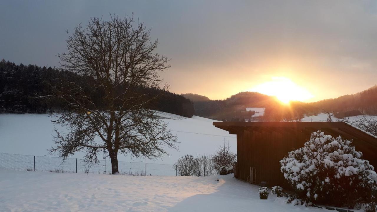 Ferienwohnung Eichkatzel Zell エクステリア 写真