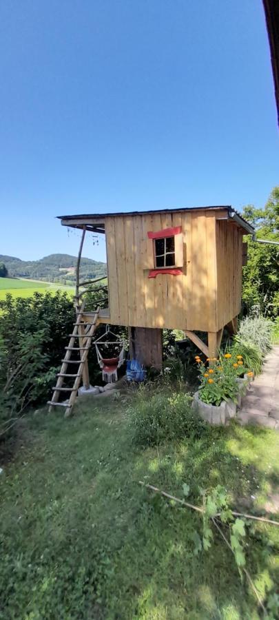 Ferienwohnung Eichkatzel Zell エクステリア 写真